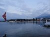 Lucerna