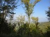 Parco Nazionale delle Foreste Casentinesi