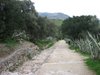 Segesta