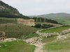 Segesta