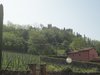 Soave (VR)