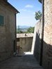 Montone