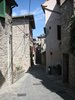 Montone