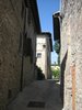 Montone