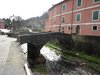 Casale