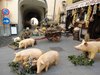 Norcia