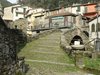 Pignone