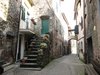 Pignone