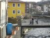 Pignone