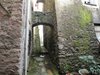 Pignone