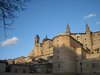 Urbino