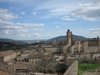 Urbino